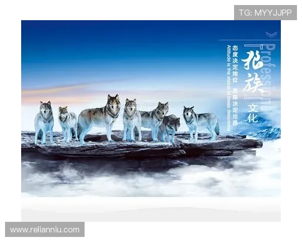 七匹狼线上娱乐专业团队保障游戏公平公正，打造值得信赖的娱乐环境