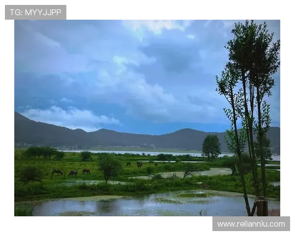 世外桃源娱乐：打造理想的休闲娱乐天堂，让每个人都能在世外桃源中找到属于自己的快乐时光