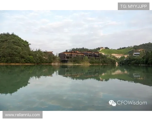 全讯网五湖四海网：连接五湖四海的精彩新闻与生活信息