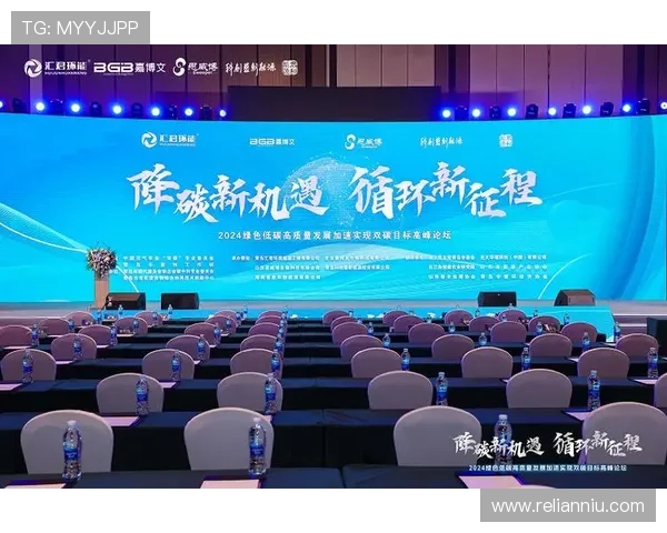 天马国际：在全球经济一体化背景下的战略布局与未来发展方向