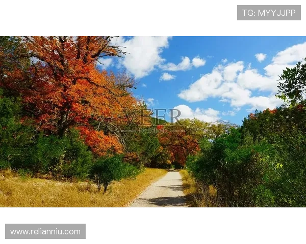 德克萨斯丰富的自然景观与旅游资源介绍